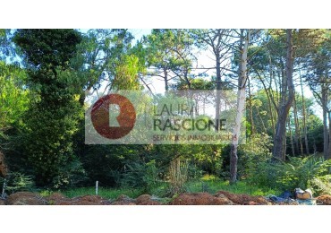 LOTE GOLF NUEVO (C)