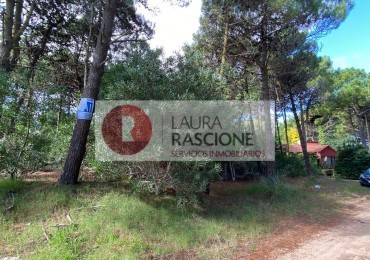 Lote en pinamar